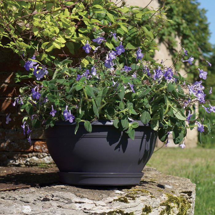 Artevasi Übertopf San Remo 42cm Anthrazit Matt ab 32,99