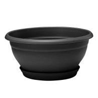 Coupe LOTUS Gris anthracite avec soucoupe clipsée, 35 x 17,5 cm, 8,4 L - EDA