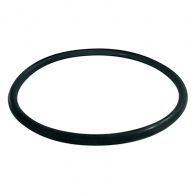 Joint torique pour filtre fioul bitube RG 2 et RG Z - Watts 22L0199013