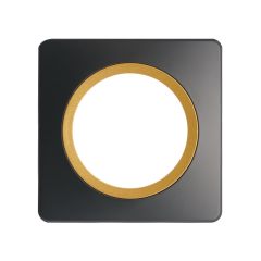 Plaque 1 poste anthracite avec insert bronze EPURE - Ohmtec - IICSEN