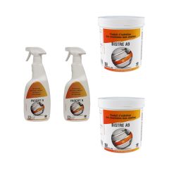 Lot de 2 insert9 nettoyant pour vitres pour poêles et inserts + 2 pots de 1kg Produit entretien de cheminé Bois/Charbon BISTRE A9 