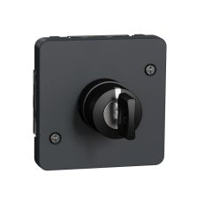 Interrupteur à clé 3 positions Mureva Styl - composable - IP55 - IK08 - gris - Schneider Electric - MUR35061