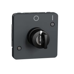 Interrupteur à clé 2 positions Mureva Styl - composable - IP55 - IK08 - gris - Schneider Electric - MUR35062