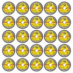 Lot de 25 Disques à tronçonner, Type A 346 EX, 125x1,6x22,23 mm