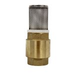 Clapet anti-retour Femelle-Femelle 1'' (26/34) + Filtre Inox (crépine) 1'' (26/34) - Sans ACS