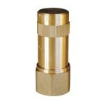 Anti-Bélier à ressort 2" (50/60) Femelle - Laiton ACS - Thermador