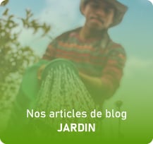 blog-jardin-exterieurs